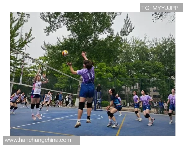 赛后分析：北京排球队与上海排球队的默契配合与战术探讨