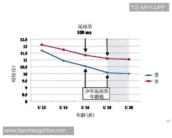 成都足球队的速度分析与战术应用探讨